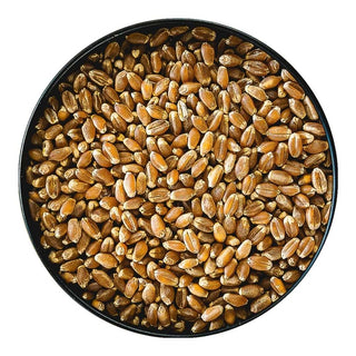 HARD RED SPRING WHEAT BERRIES