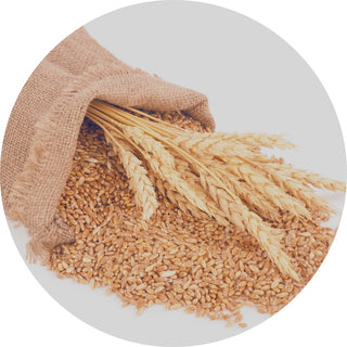 Grains & Cereals