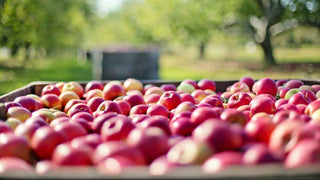 Fresh Seasonal Fruit