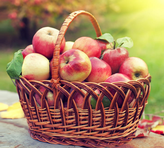 Fresh Seasonal Fruit