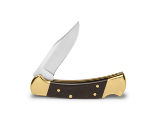 Buck Ranger Knife