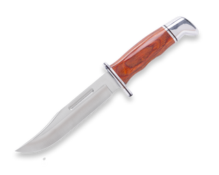 Buck Special Knife