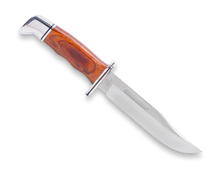 Buck Special Knife