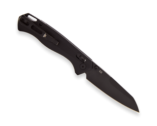 Buck Ferrox Knife