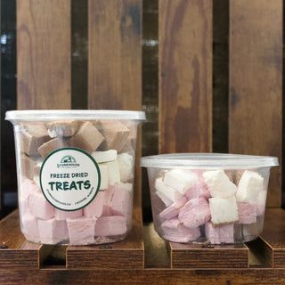 Freeze Dried Ice Cream Squares