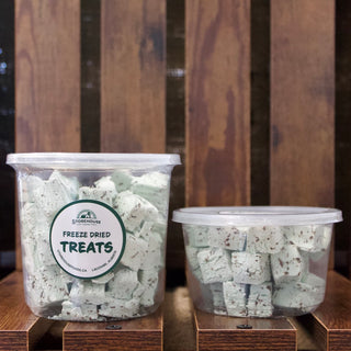 Freeze Dried Ice Cream Squares