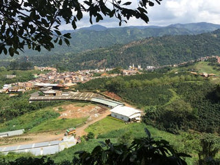 Colombia Narino Organic Washed