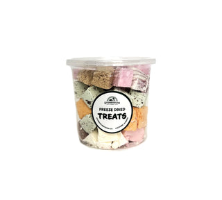 Freeze Dried Ice Cream Squares