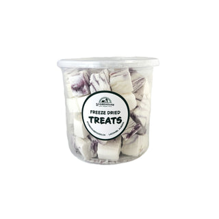 Freeze Dried Ice Cream Squares