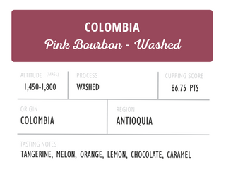 Colombia Pink Bourbon Washed