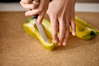 Victorinox Swiss Classic Tomato and Table Knife - 11 cm