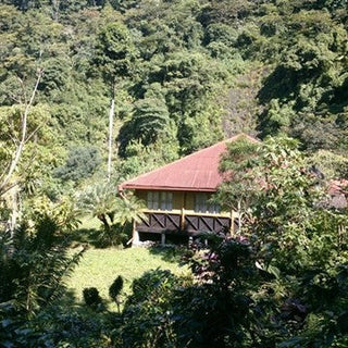 Mexico Chiapas HG Washed