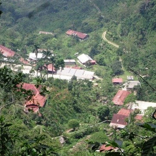 Mexico Chiapas HG Washed