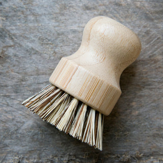 Hard Bristle Pot Brush