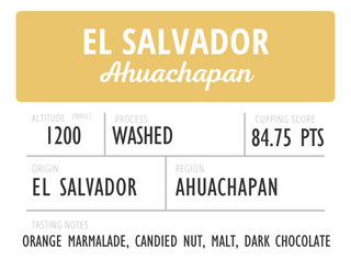 El Salvador Ahuachapan Washed