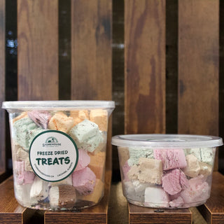 Freeze Dried Ice Cream Squares