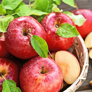 Orchard Fresh BC Apple Pre-Order