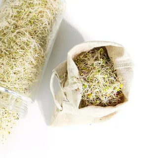 Hemp Sprouting Bag