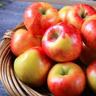 Orchard Fresh BC Apple Pre-Order