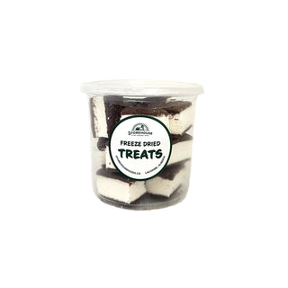 Freeze Dried Ice Cream Squares
