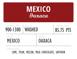 Mexico Oaxaca Washed