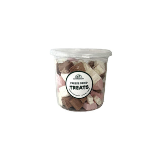 Freeze Dried Ice Cream Squares