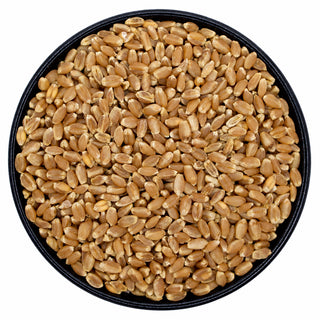Hard Red Spring Wheat Berries