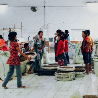 Sumatra Takengon Mandheling Wet-Hulled