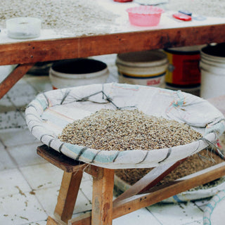 Sumatra Takengon Mandheling Wet-Hulled