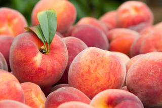 Orchard Fresh BC Freestone Glohaven Peaches