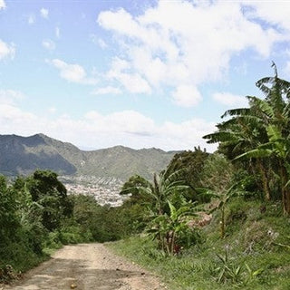 Nicaragua Jinotega Organic