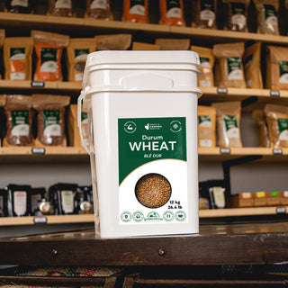 Durum Wheat Pail