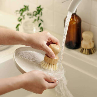 Storehouse Foods Dish Soap Kit