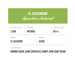 El Salvador Bourbon Natural