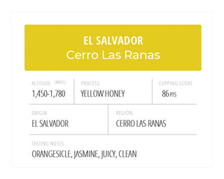 El Salvador Cerro Las Ranas Yellow Honey