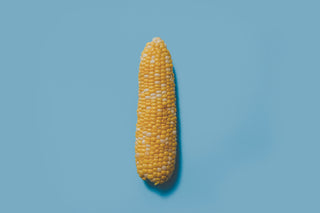 Organic Freeze Dried Corn