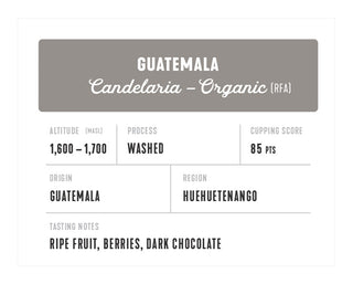 Guatemala Candelaria Organic Washed