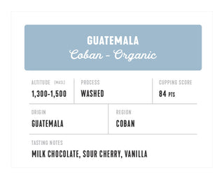 Guatemala Coban Organic Washed