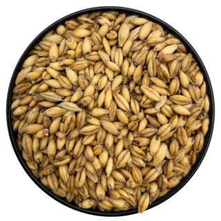 Sprouted Hulless Barley