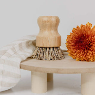 Hard Bristle Pot Brush