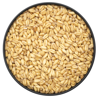 Organic Spelt Pail