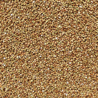 Organic Buckwheat Seeds
