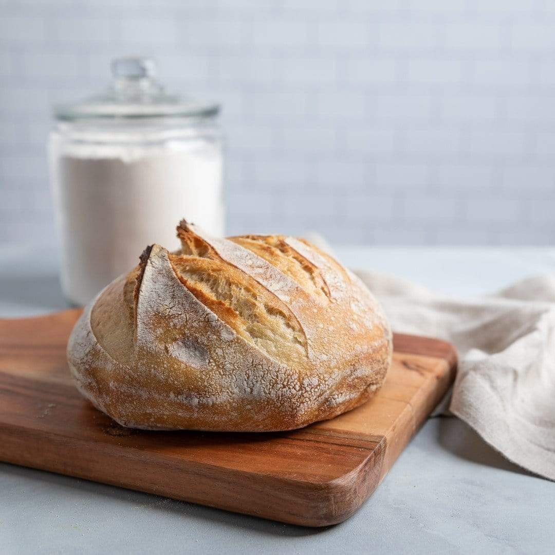 San Francisco Style Sourdough Starter – Fresh, Active, Dried Yeast Mix With Recipes
